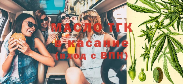 прущие грибы Михайловск