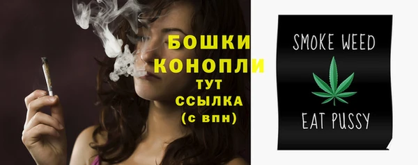 прущая мука Нея