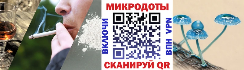 Псилоцибиновые грибы Cubensis  Кемь 